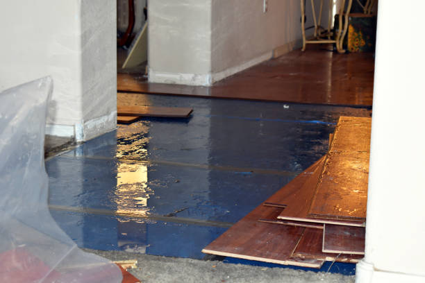 Professional Sewage Cleanup technician working in Dow, IL